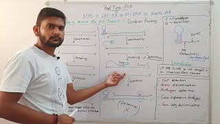 Real Time - PCR Using Scorpion Primer||CSIR NET| in Hindi
