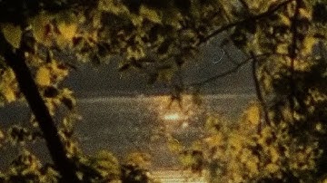 silent collision - I Feel It All (Lyric Video)