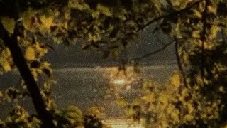 silent collision - I Feel It All (Official Lyric Video)