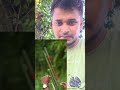 bamboo and balloons skills ❤️✅ #camping #hack #rope #reels