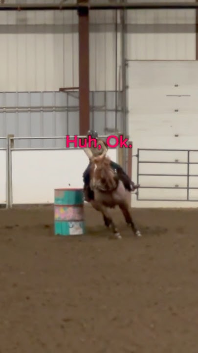 keep-chasing-your-dreams-horse-rodeo-myaseaton-lovejesus-goals