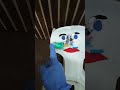 Maxillary sinus