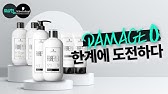 슈바츠코프 파이버플렉스 추천 머릿결 8