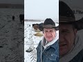 Has your spring been as bipolar as ours?