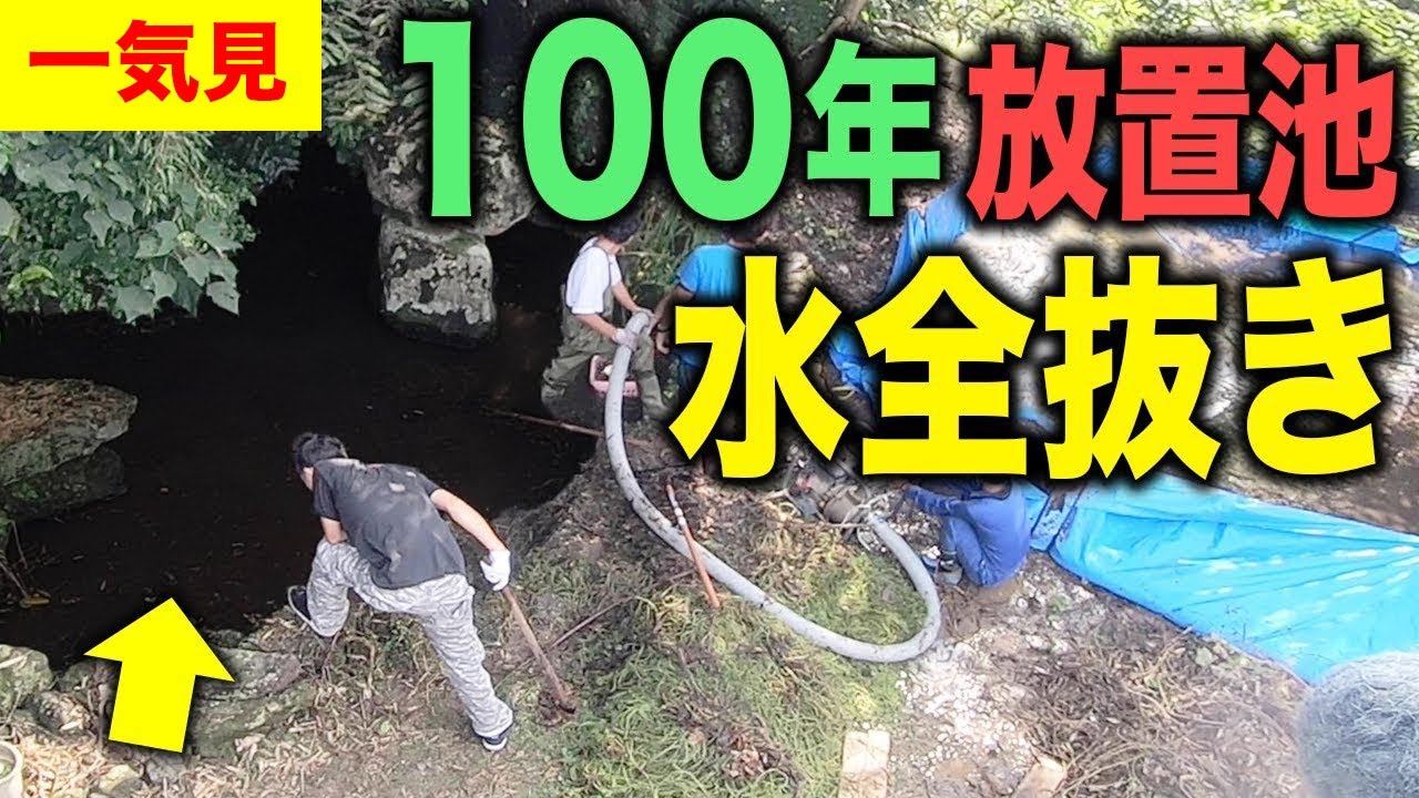 【一気見】ポツンと一軒家の池の水全部抜く