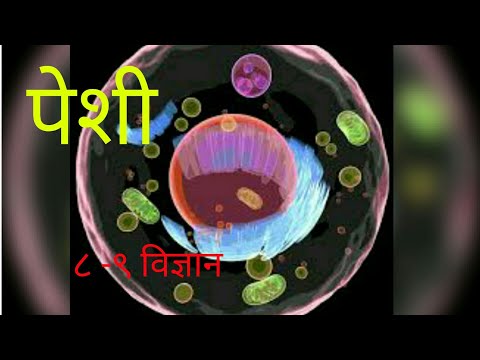 8 व 9 वी विज्ञान Cell - पेशी ||Maharashtra state board text books|dr preeti raut