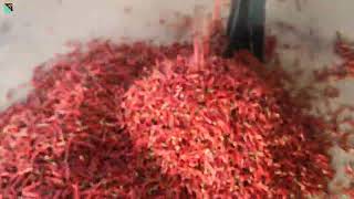 SG Pepper/Chili Sorting machine/Color sorter machine