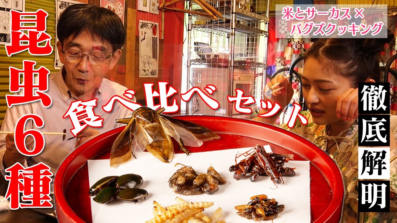 【18】【襖 引き手】虫食い 9個 Izakaya Dish: Insect Platter - Taste Comparison - YouTube