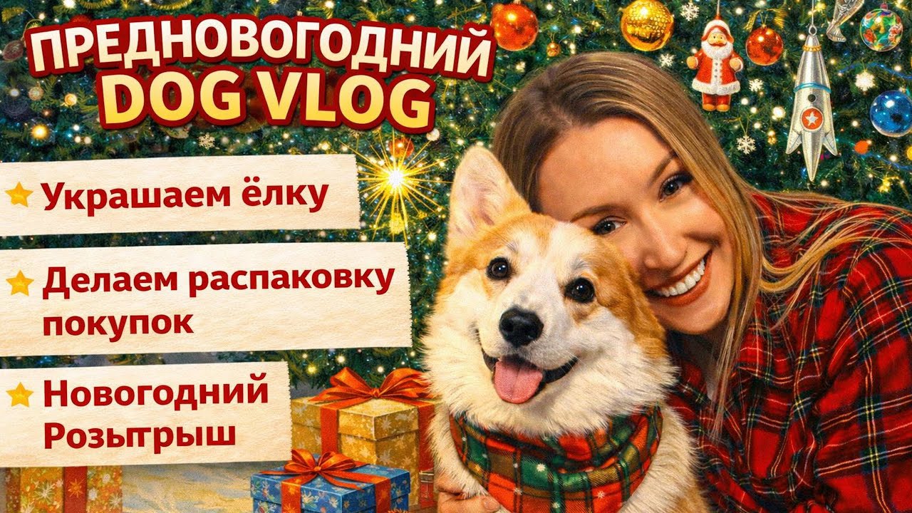 Предновогодний DOG VLOG 🎄 Наряды для собаки, Ашан, ёлка в русском стиле, 90-е, розыгрыш подарка!