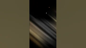 شجره شجره شاشة سوداء بدون حقوق 