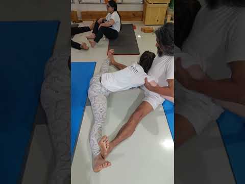Learn the techniques of therapeutic yoga from Yogacharya Dhakaram.
