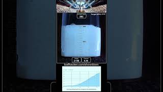 Sourdough Starter Showdown - Profile timelapse for 