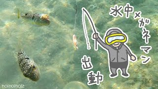 【見釣り・泳ぎ釣り】DAISO竿で何が釣れる？シュノーケリングフィッシング