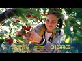Keenan Produce Cherries Australia