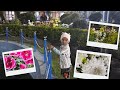 Fuler Bagan Gitanjali Park😎||#review||#youtubeindia||#kaimabibivlog
