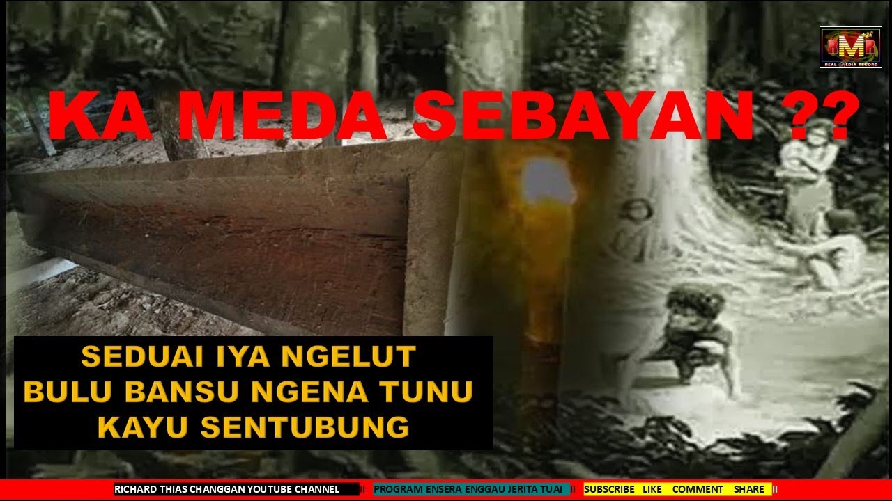 KA MEDA SEBAYAN, SEDUAI IYA NGELUT BANSU NGENA TUNU KAYU SENTUBUNG