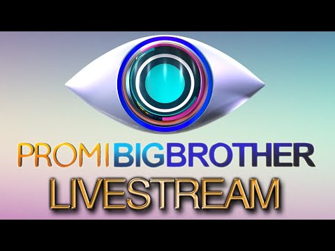 Promi Big Brother Livestream