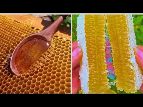 Honeycomb Cutting and Honey Flowing🍯🍯 - Extremely Satisfying To