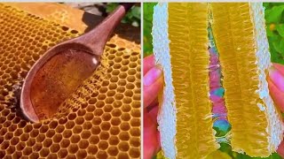Honeycomb Cutting and Honey Flowing🍯🍯 - Extremely Satisfying To Watch!