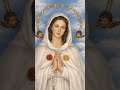 Mother Mary Pray for us 🙏🏻🕊️🌹#dailyblessings #mothermary #vyakulamathavu #fathima #motherofjesus
