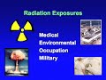 Dr. Elaine Ron (National Cancer Institute) -  The Carcinogenic Effects of Radiation