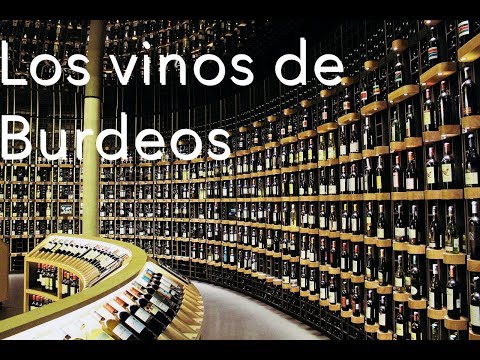 vértice suficiente Moretón ▷ Vinos de Burdeos: Zonas, variedades, tipos vino y clasificación.