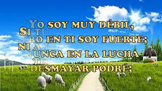 CG-378. Noble sostén (Pista+Letras=Karaoke)