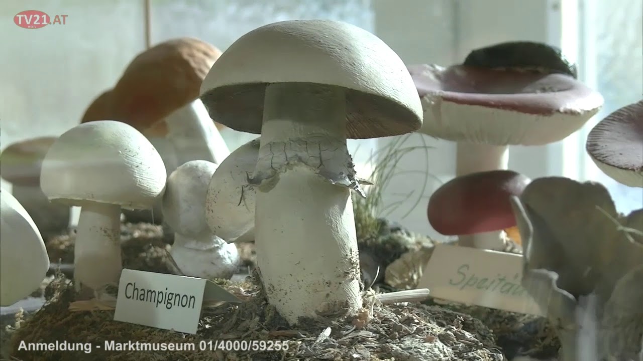 Lange Nacht Der Museen Das Marktmuseum YouTube