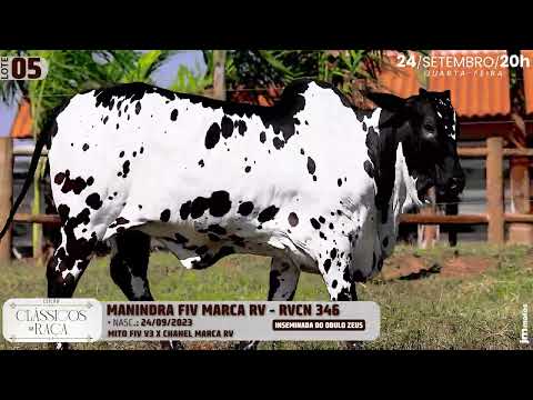 LOTE 05   RVCN 346