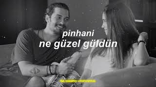 Pinhani - Ne Güzel Güldün Slowedreverb