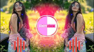 Haseeno Ko Aate Hain Kya Kya Bahane Remix | hindi love songs | full hard bass Resimi