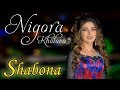 Нигора Холова - Шабона 2020 | Nigora Kholova - Shabona 2020