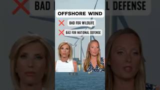 Offshore Wind's Hidden Costs: SeaFreeze Executive Exposes Environmental & Security Threats