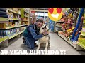 Buying My Husky EVERYTHING She Touches For Her 10th Birthday Special!! [HAPPIEST SURPRISE!]