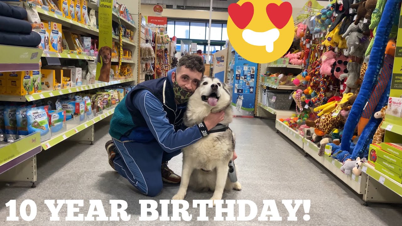 Buying My Husky EVERYTHING She Touches For Her 10th Birthday Special!! [HAPPIEST SURPRISE!]