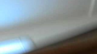 Capture 20110215 1