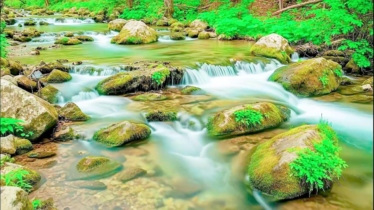 Natural River Sound for Deep Sleep | Stress Relief Audio for Health & Mindfulness