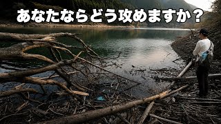 このゴージャスなポイント、僕はコレで確実に釣ります。