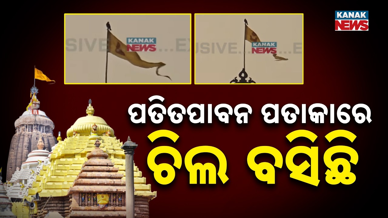 Reporter Live: Eagle Sits on Jagannath Temple Flag! Is it an Ill Omen? | Puri Srimandir
