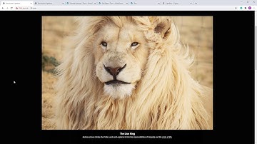 Revolution Lightbox static and dynamic content explained