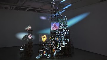 Algorithmic cage: Artist challenges myth of 