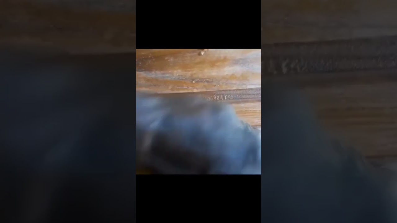 Home bright Oven Cleaner Hack 