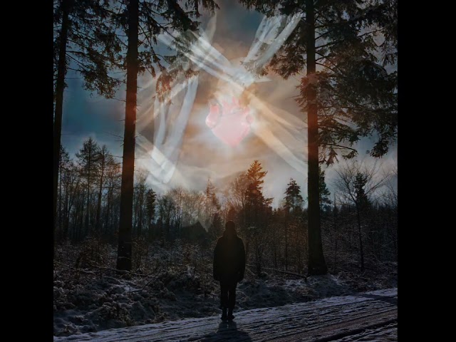 The forest breathes, both heart and door,Where life and cosmos pulse once more.