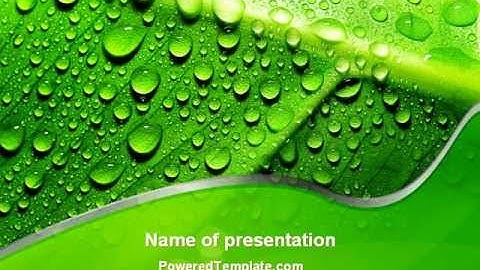 Dew In The Sun On A Green Leaf PowerPoint Template by PoweredTemplate.com