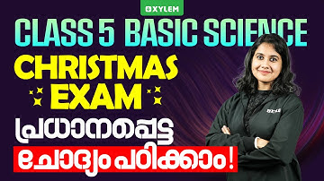 Class 5 Basic Science | Christmas Exam പ്രധാനപ്പെട്ട ചോദ്യം പഠിക്കാം | Xylem Class 5