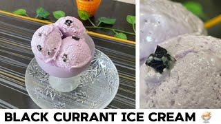 BLACK CURRANT ICE CREAM 🍨 | SUPER TASTY 🤤 HOME MADE SECRET REVEAL