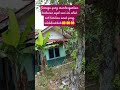 Surat Almu'minuun(1-20)KH,Muammar, ZA