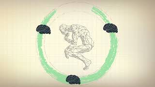 A Free Summary Of The Book The Organized Mind By Daniel Levitin