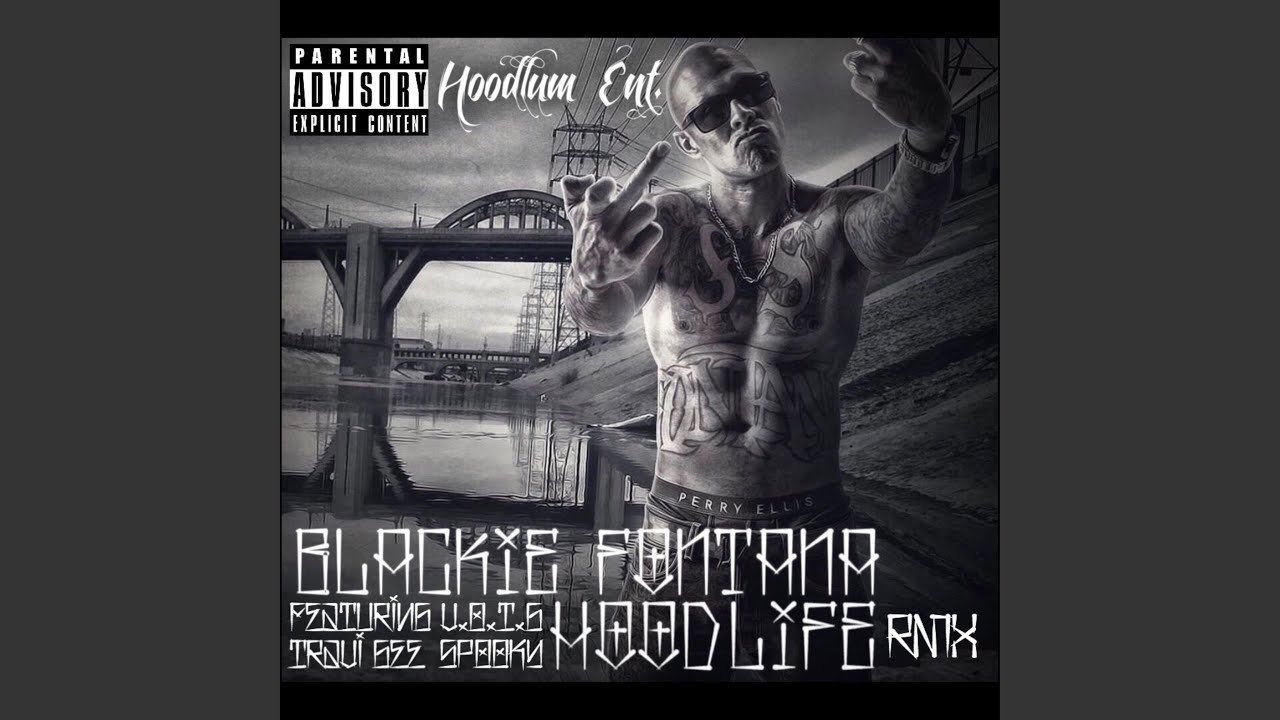 Hood Life (feat. V.O.T.G, Travee Gee & Spooky) (Remix)