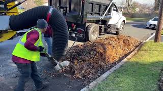 One of the biggest leaf vacuum they make! Satisfying suction